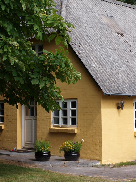 Faedrelandet Ferielejlighed & Turridning Læsø 部屋 写真