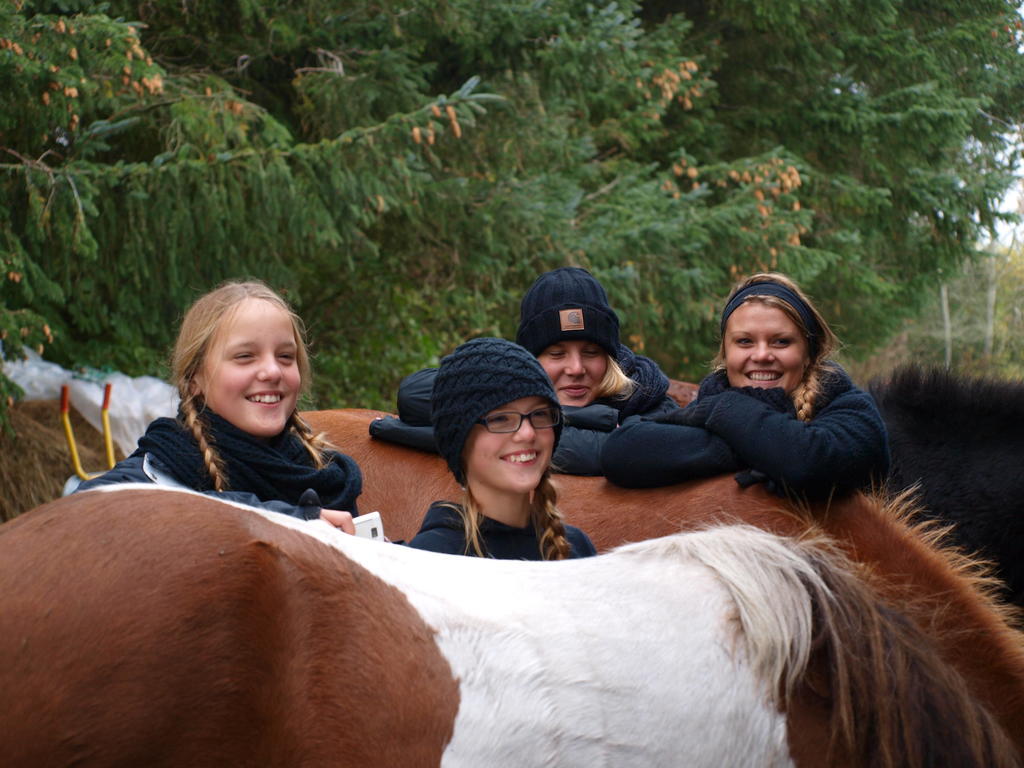 Faedrelandet Ferielejlighed & Turridning Læsø エクステリア 写真